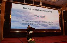 湖南省新能源產業協會秘書長陳麗華.webp.jpg 湖南省新能源產業協會秘書長陳麗華.webp.jpg