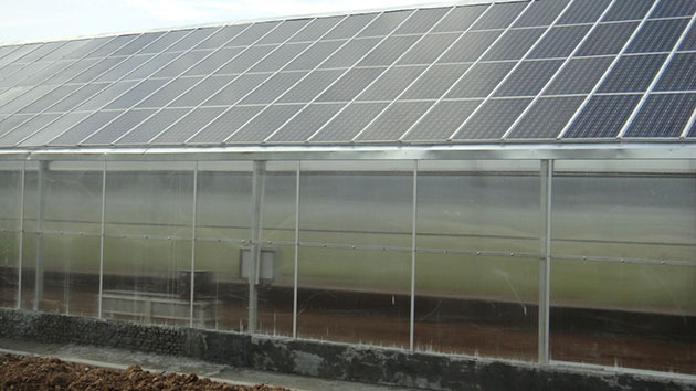 信義農業生態園230KW光伏農業大棚 信義農業生態園230KW光伏農業大棚